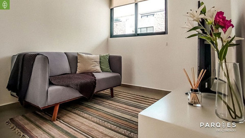 Imagen 4 de 15 de Departamento/family Room/roof Garden