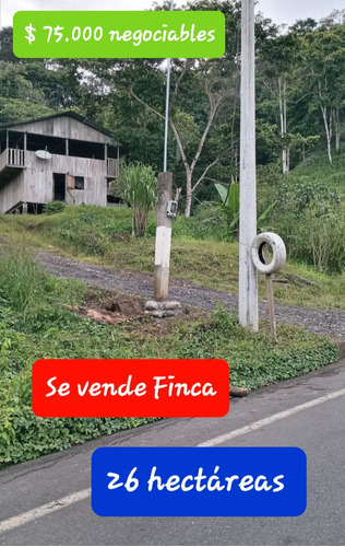 Venta De Finca.