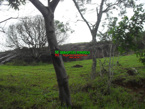 Imagem 1 de 14 de Sítio - Chácara Com Nascente De Água, Zona Norte De São Jose Dos Campos - 260