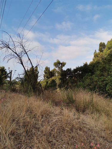 Parcela En Venta En Bosque De Mantagua Concon