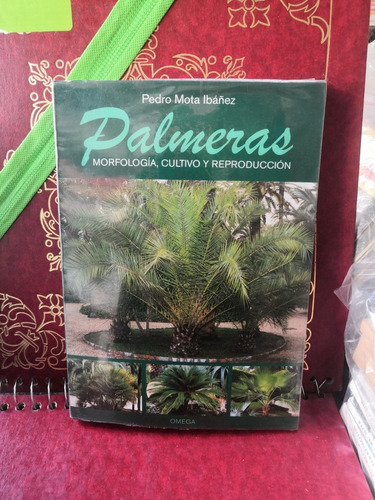 Palmeras.    Pedro Mota Ibáñez .    Omega. 