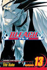 Libro Bleach Vol 13