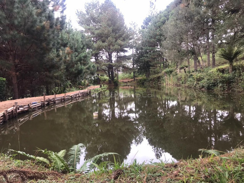 Imagem 19 de 20 de Chácara À Venda Com 101035m² Por R$ 1.500.000,00 - Agudos Do Sul / Pr - Ch0006