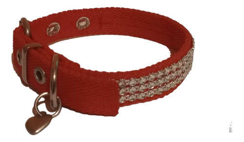 Collar Con Brillo Para Animales Medianos Talle 3