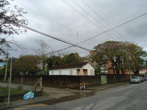 Imagem 2 de 6 de Terreno Residencial No João Paulo. - Te0041