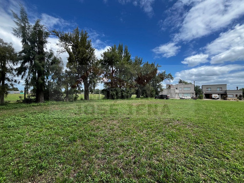 Lotes De 833 M2 (16,66 X 50) En Venta. - Dentro De Barrio Cerrado La Mina - General Belgrano. No Abona Expensas. Excelente Ubicación.
