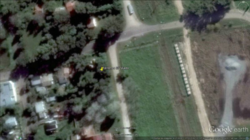 Imagen 3 de 5 de Venta Lote De 10 X 40 Mts Forestado En El Tejado