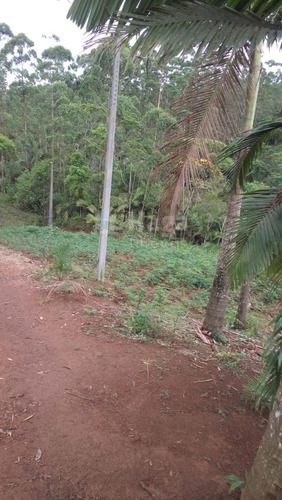 Imagem 24 de 30 de Chácara Rural A Venda Em Ilhota/sc - 1684c