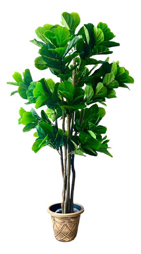 Planta Artificial Ficus Lyrata 180 Cm 232 Hjs / Arbusto Real