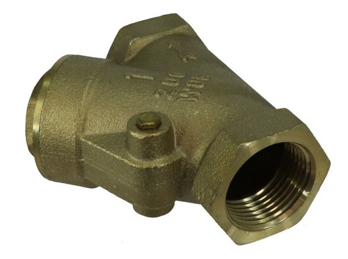 Valvula Check Retencion Columpio 1puLG 21600320