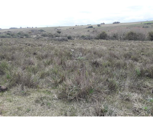 Campo 21 Has En Paraje José Ignacio