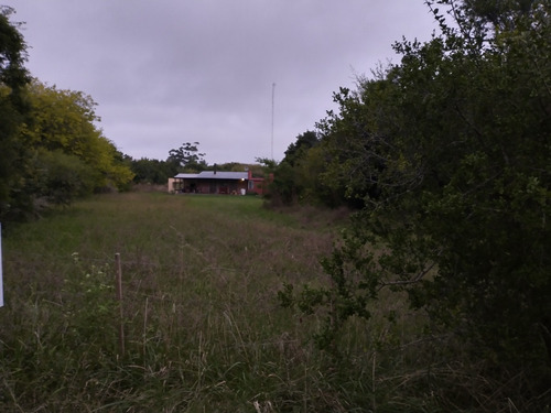 Casa Quinta En Venta En Punta Del Indio
