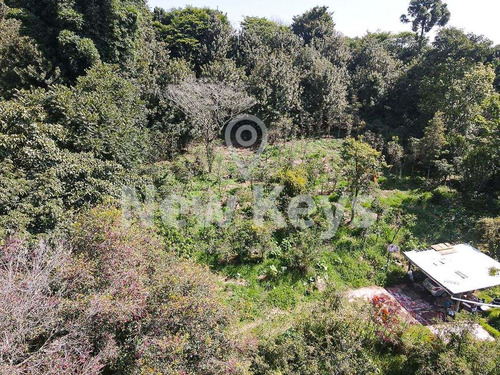 Imagen 3 de 4 de Venta De Terreno En Coatepec Veracruz