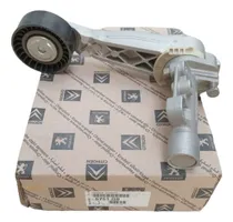 Comprar Tensor De Poliv Citroen C4 Lounge Ds3 Ds4 Ds5 Ds6 Thp Orig!