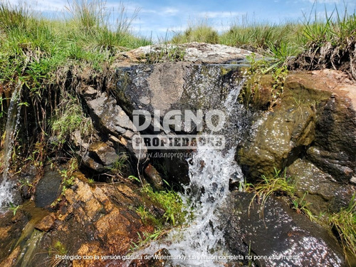 Imagen 10 de 10 de Campo Ganadero Forestal - 80 Has