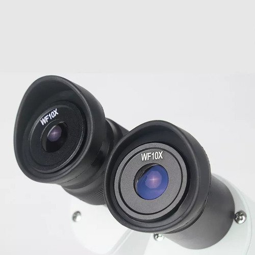 Microscópio Estéreo Binocular Frontal Xt 1pcs