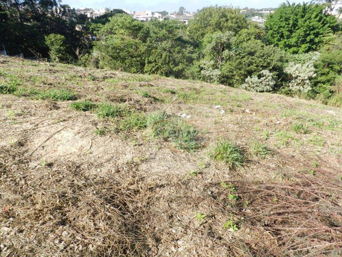 Imagem 13 de 22 de Terreno À Venda, 600 M² Por R$ 450.000,00 - Bosque - Vinhedo/sp - Te0109