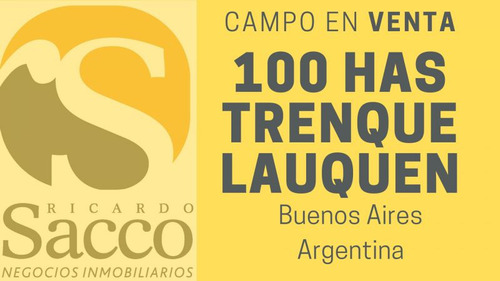 Campo Ganadero De 100 Has En Venta En #trenquelauquen