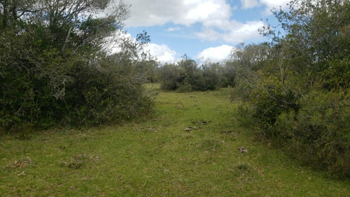 Vendo Campo