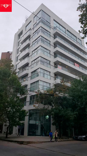 Alquiler De Oficina En La Plata (12 Y 43)
