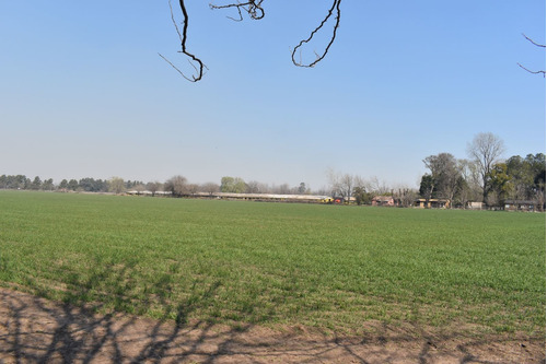 Imagen 7 de 29 de Chacra 5 Hectáreas Agro Carlos Keen Venta Oportunidad