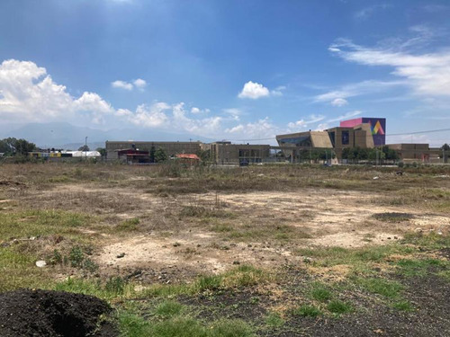 Terreno Comercial En Renta En Montecillo, Texcoco, México