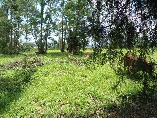 Imagem 30 de 30 de Vendo Área Na Estiva Em Louveira Com 150 Mil M². - Ar00006 - 2586566