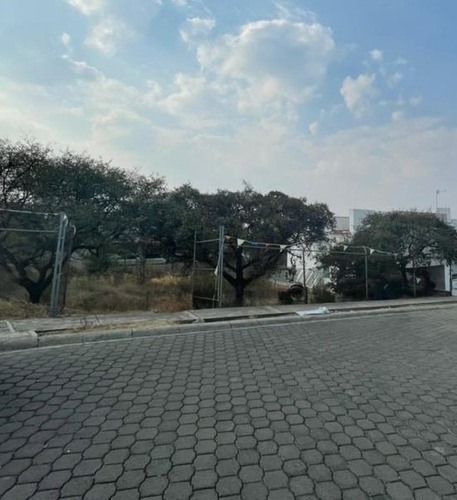 Imagen 5 de 6 de Terreno En Venta En Prado Largo