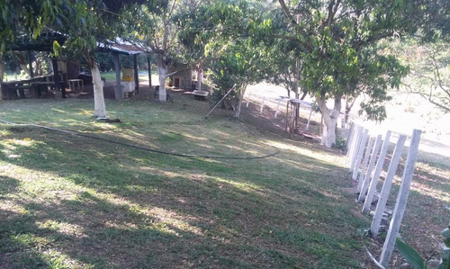En Venta Finca Ideal Para Ganadería, Cría De Caballos Entre Otras Actividades.