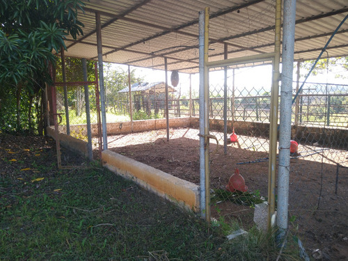 Mini Finca De 4 Hectáreas Con Hermosa Casa Campestre Y Espectaculares Áreas Sociales En Urbanización Privada En Venta Gg