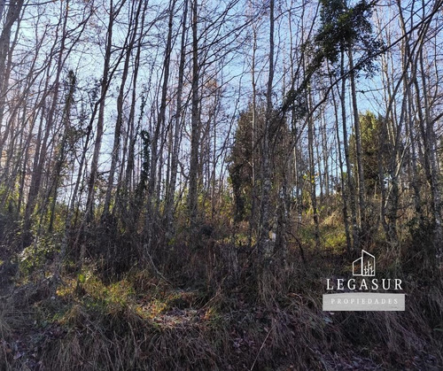 Parcela En Condominio Entre Coique Y Futrono 5.000 M