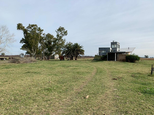 Imagen 9 de 17 de Venta- Campo De 82 Hectáreas En Goldney