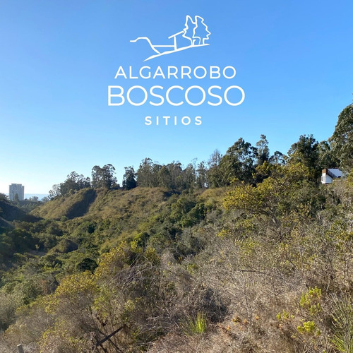 Imagen 1 de 6 de Exclusivo Sector De Algarrobo