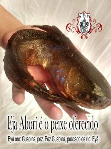 Santería Eja Abori ( Pescado Ahumado Africano 3 Piezas)