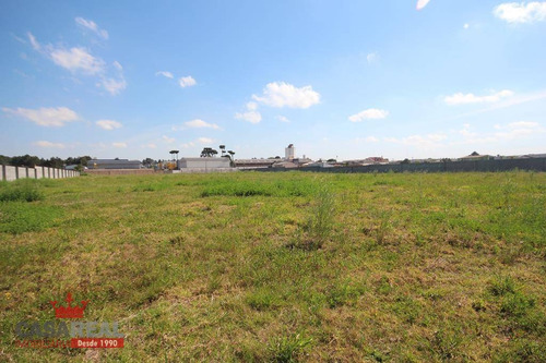 Imagem 9 de 22 de Terreno Industrial À Venda, Novo Mundo, Curitiba - Te0029. - Te0029