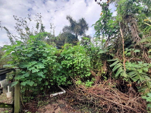 Imagem 4 de 7 de Terreno À Venda, 3575 M² - Morro Das Pedras - Florianópolis/sc - Te0993