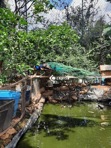 Imagem 1 de 29 de Chácara Com 3 Dormitórios À Venda, 1000 M² Por R$ 798.000,00 - Rural - Itupeva/sp - Ch0171