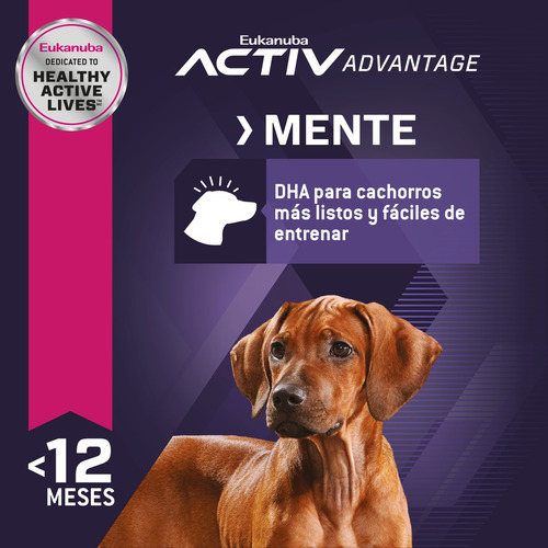 Eukanuba Puppy Large Breed 2.04 Kg.