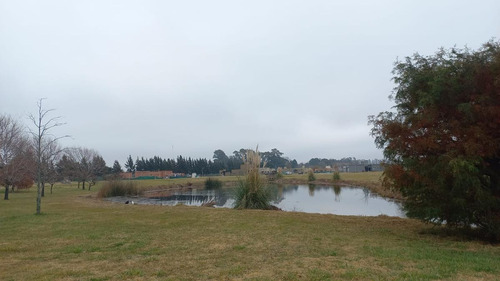 Imagen 4 de 5 de Excelente Lote Interno 1000 Mts En Las Calandrias, Cardales. Consultar Financiación