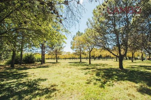 Imagen 13 de 14 de Lote La Esperanza Pilar Chico Zona Clubes De Polo
