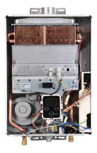 Aquecedor Agua A Gás Rinnai Digital Gn 21 Litros E211 Preto 127/220V