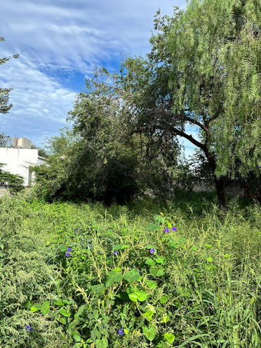 Terreno En Villa Rivera Indarte - Muy Buena Zona - Apto Duplex