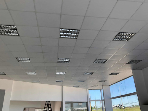 Imagen 10 de 14 de Local En Alquiler 700mt2. Campana