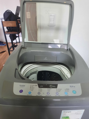 Lavarropas Automático Electrolux 6.5kg 220v Color Gris Plata Gris (Usado)