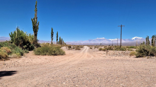 Venta Campo 134 Has En Finca Alamos, Barreal.
