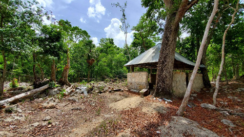 Terreno En Playa Del Carmen Titulado Con 10 Hectareas A Un Lado De Parque Xenotes.