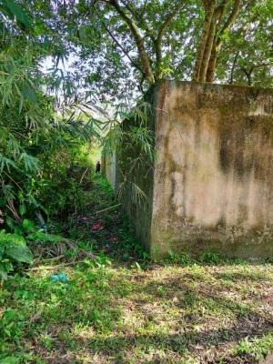 Imagem 3 de 4 de Amplo Terreno Lado Serra, Itanhaém- Tropical 1000m². 8350