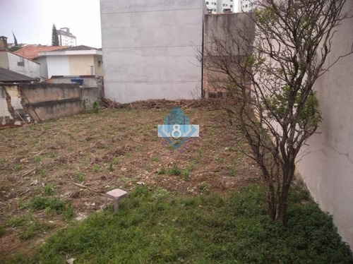 Imagem 3 de 3 de Excelente Terreno 350 M² Plano Santa Terezinha - 3486