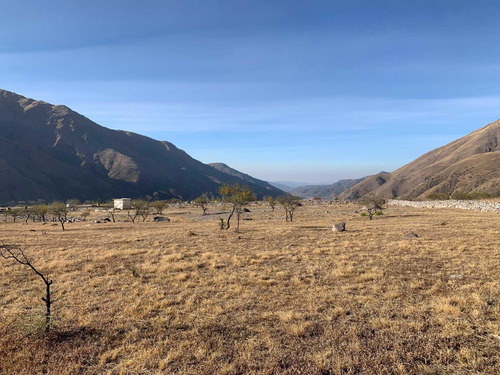 Imagen 14 de 14 de Venta 1hectareas 5907,75m2 Barcena Sobre Ruta