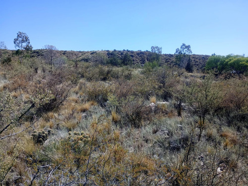 Terreno En Venta En Blanco Encalada